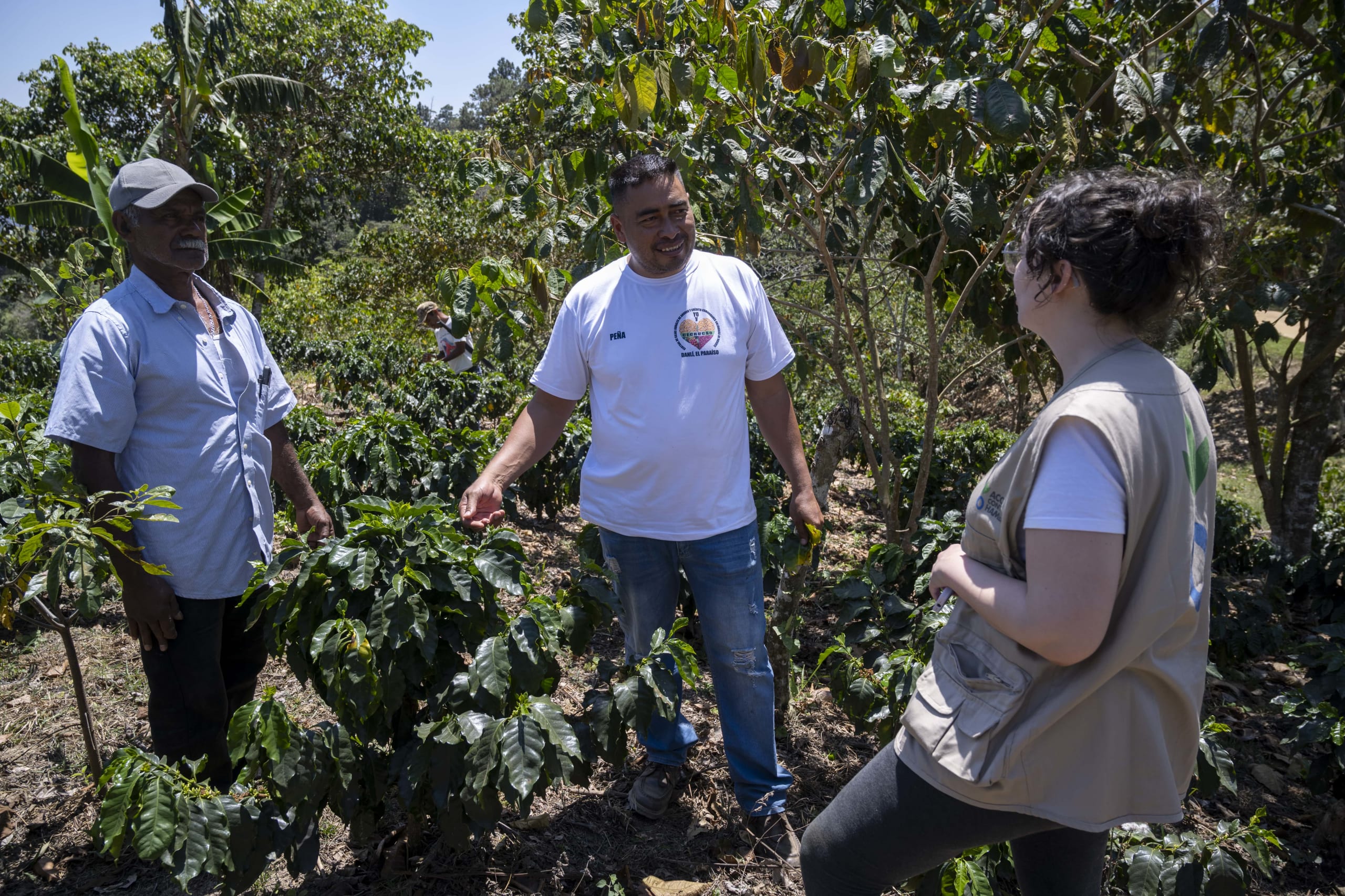 honduras climat 2024